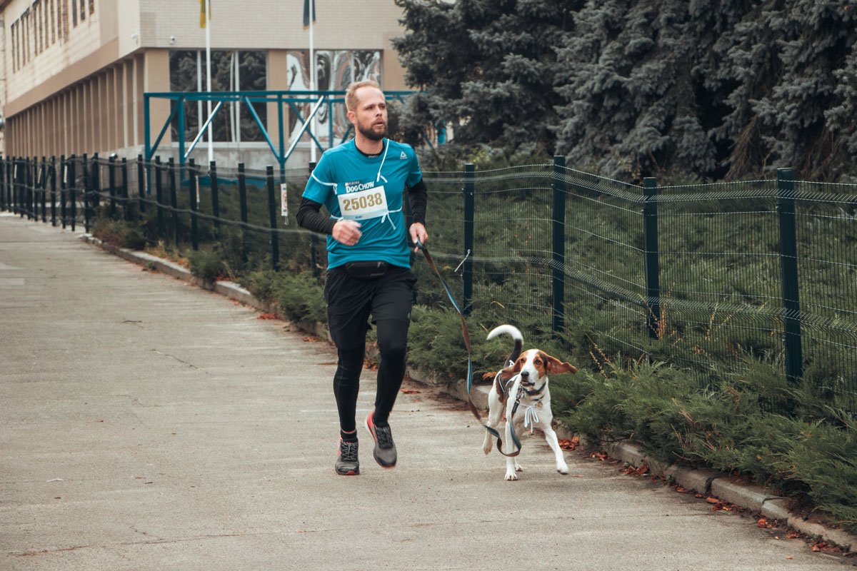 Уши вразлет - бежит только вперед