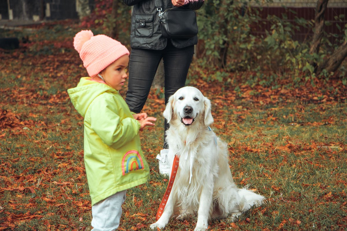 Милота ведь