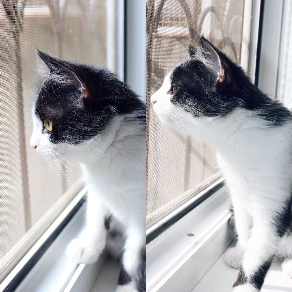 Любопытная и очень нежная Оливия знает секретную мантру, которая вмиг избавит вас от всех печалей Любопытная и очень нежная Оливия знает секретную мантру, которая вмиг избавит вас от всех печалей