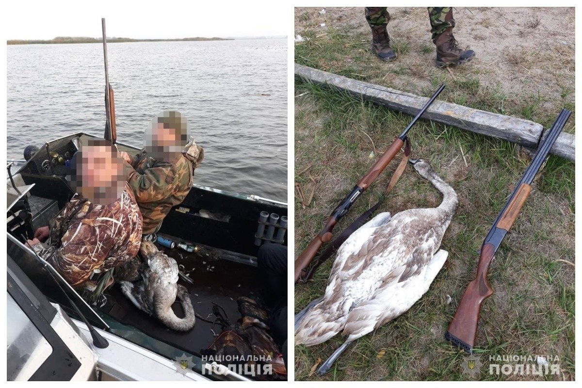 Пьяные мужчины и застреленный лебедь Пьяные мужчины и застреленный лебедь