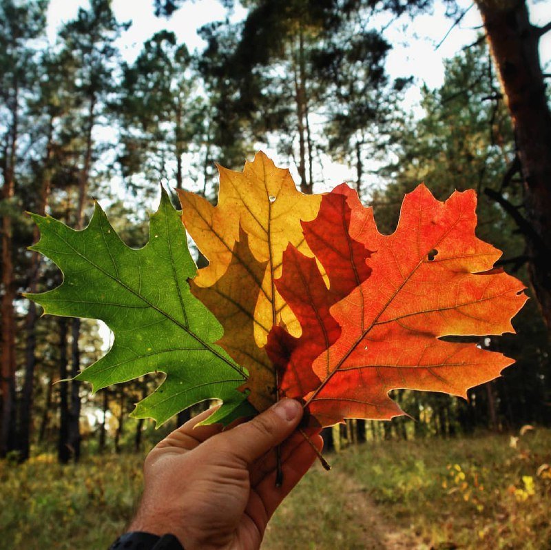 Вместо бокала. Фото: @istetsen Вместо бокала. Фото: @istetsen