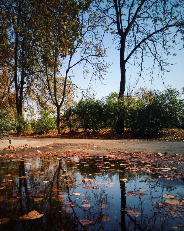 Осень, остановись! Мы не успеваем налюбоваться. Фото: @photo_brezitskiy Осень, остановись! Мы не успеваем налюбоваться. Фото: @photo_brezitskiy