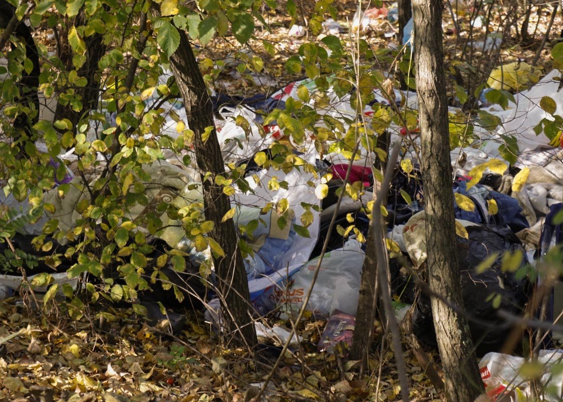 Женщина жила на берегу озера, так как была бездомной