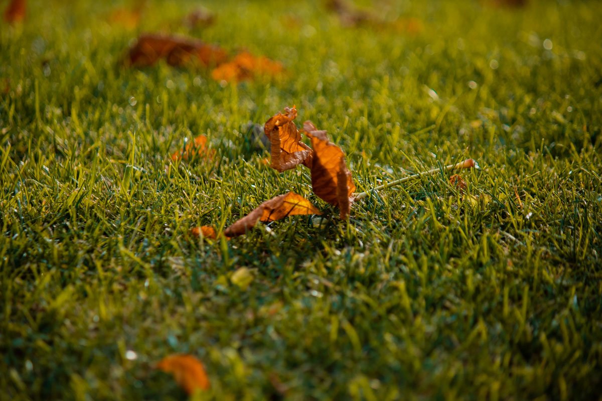 Насладайтесь красками осени вместе с Информатором Насладайтесь красками осени вместе с Информатором