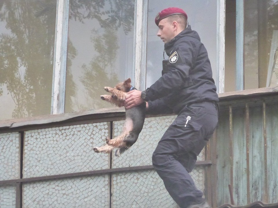 Полиция спасла собаку Полиция спасла собаку