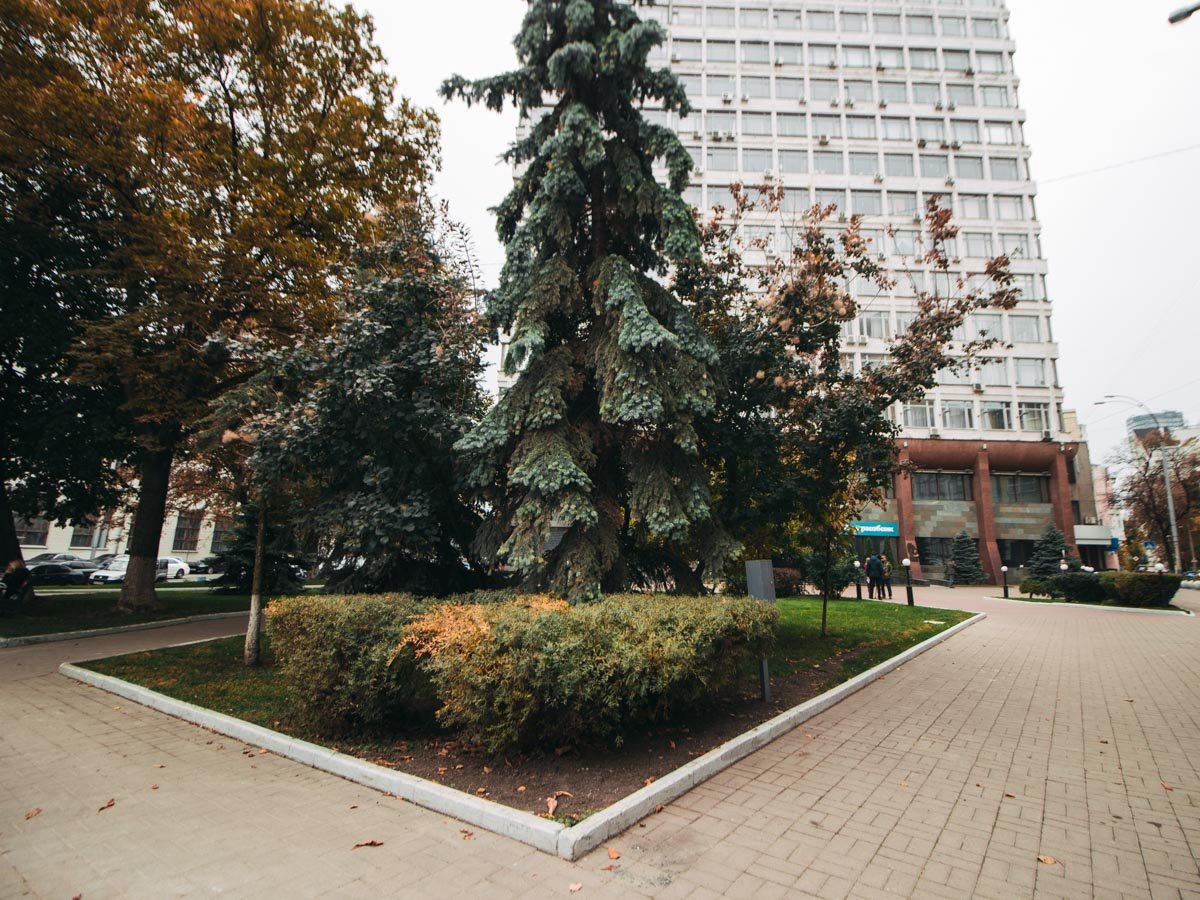 Сквер заложили еще в 2018 году