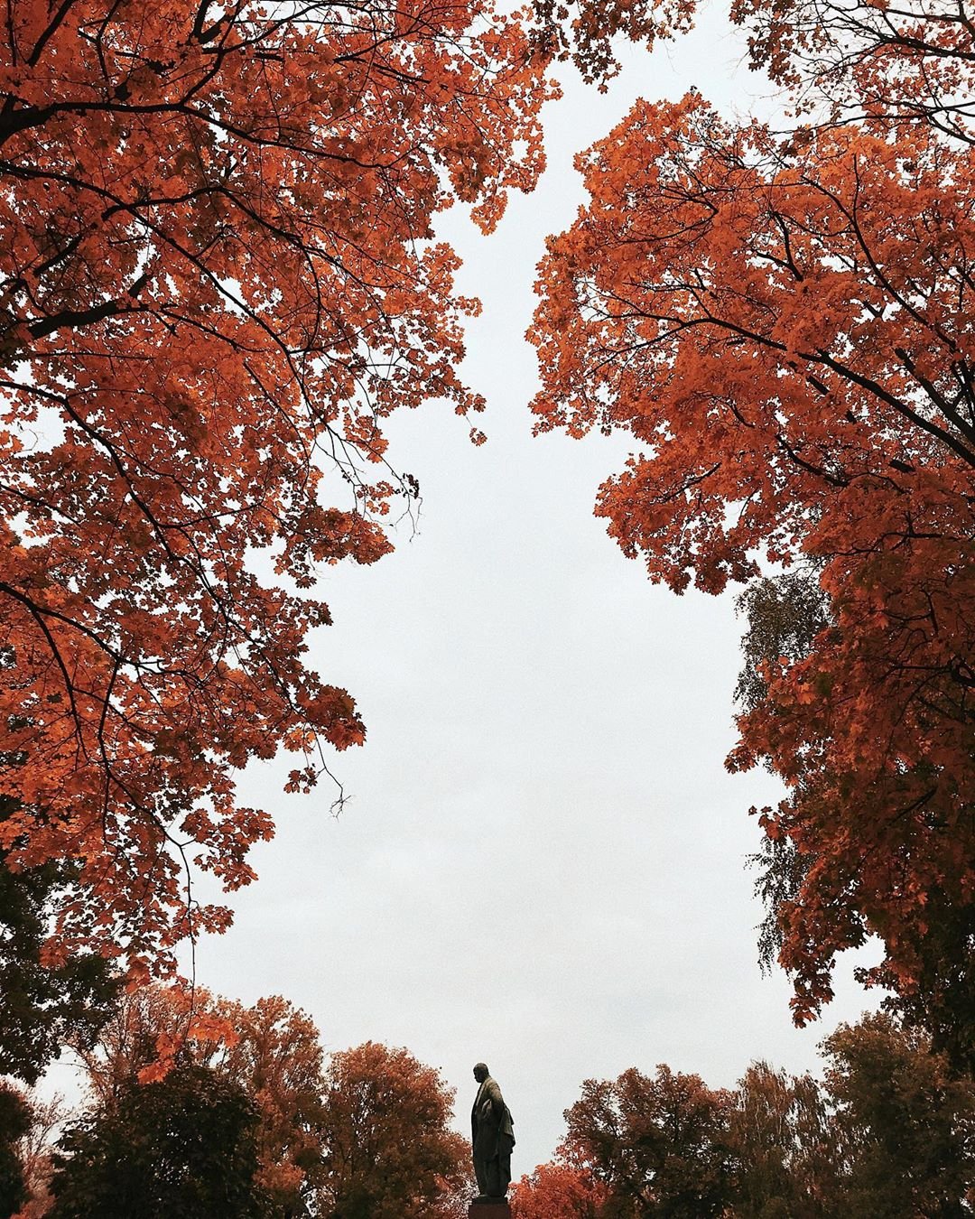 Композиция "Тарас Шевченко и осень". Фото: @nadia.yakimovich