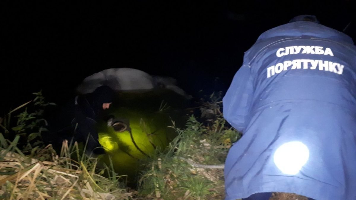 Спасатели прибыли на место по вызову об утонувшем коне Спасатели прибыли на место по вызову об утонувшем коне