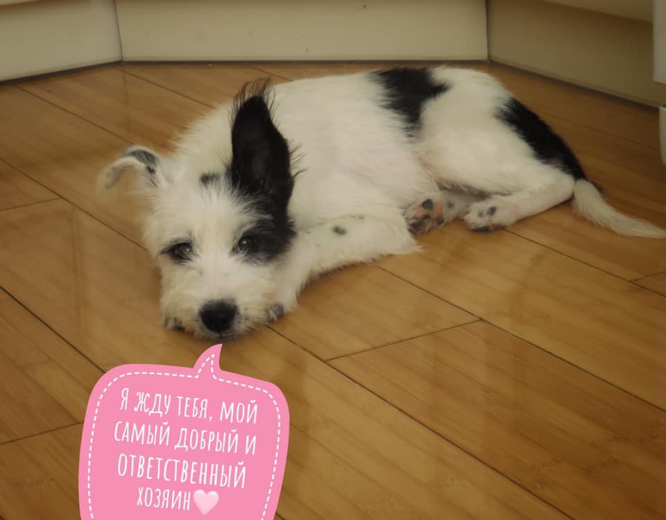 Малышку подбросили во двор многоэтажного дома