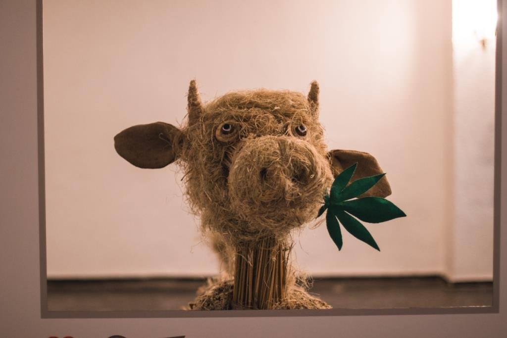 Это, вероятнее всего, бычок, но мы в нем видим жирафика. Это все наш главный редактор так влияет :)