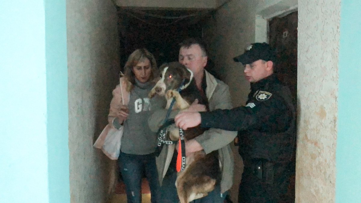 Причиной этому были собаки, которых держали взаперти в квартире