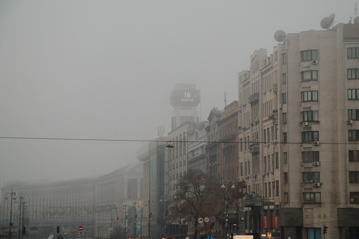 Деревья постепенно раздеваются, готовясь к зиме