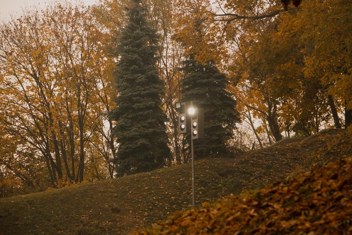 Пока мы торопимся по делам, вокруг царит настоящая сказка