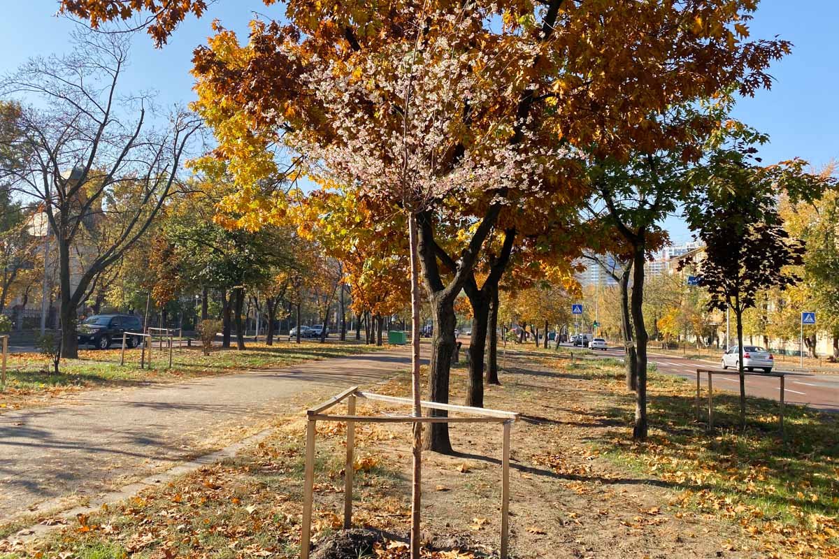 Радуйтесь последним теплым дням 