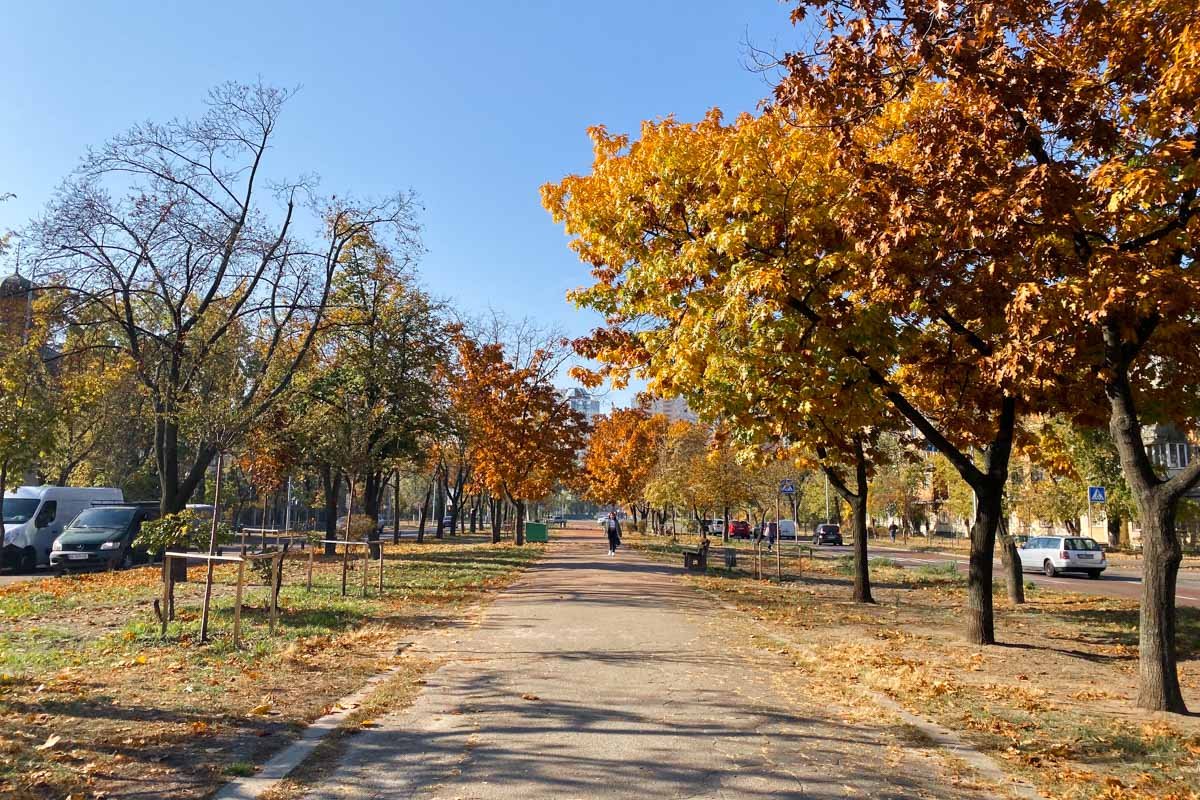 Идем за красивыми фото