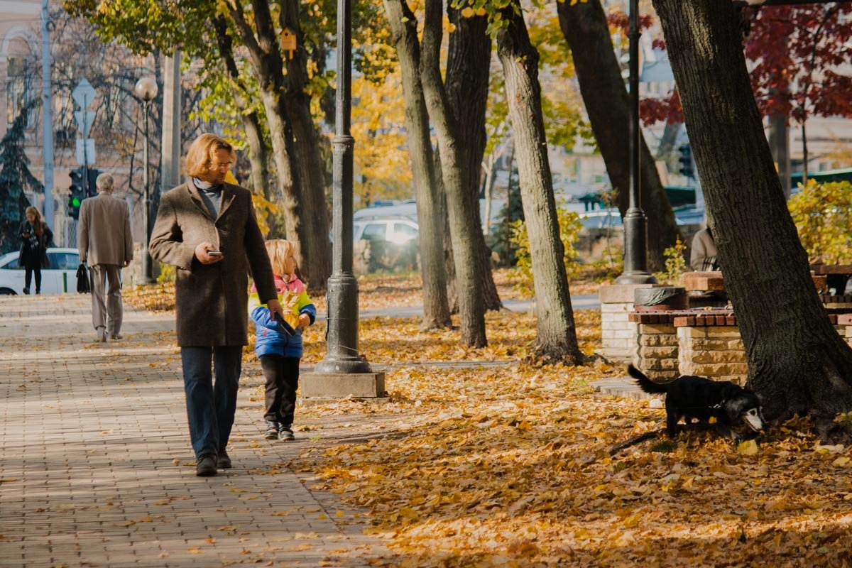 Чья собака? Чья собака?