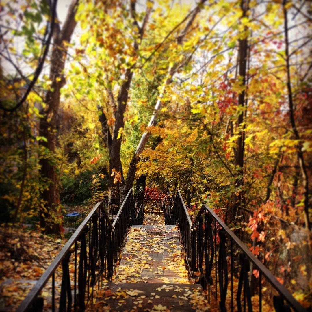 Официально заявляю - @torylototska сделала самую осеннюю фотографию, причем не только этой подборки Официально заявляю - @torylototska сделала самую осеннюю фотографию, причем не только этой подборки