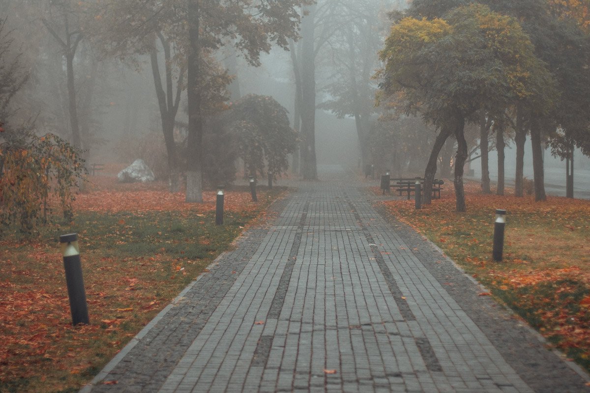 Дорога в никуда 