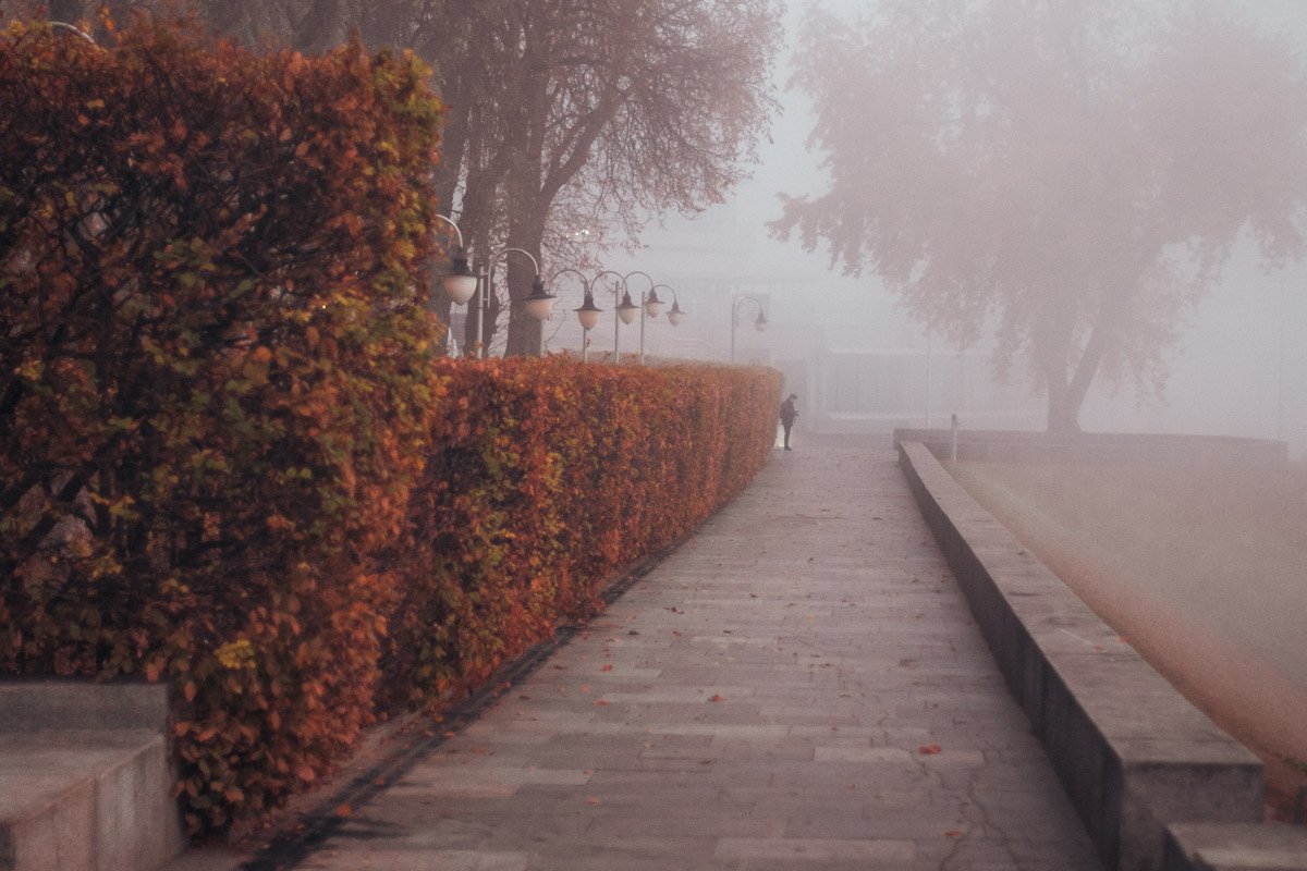 Ядовитые цвета осени 