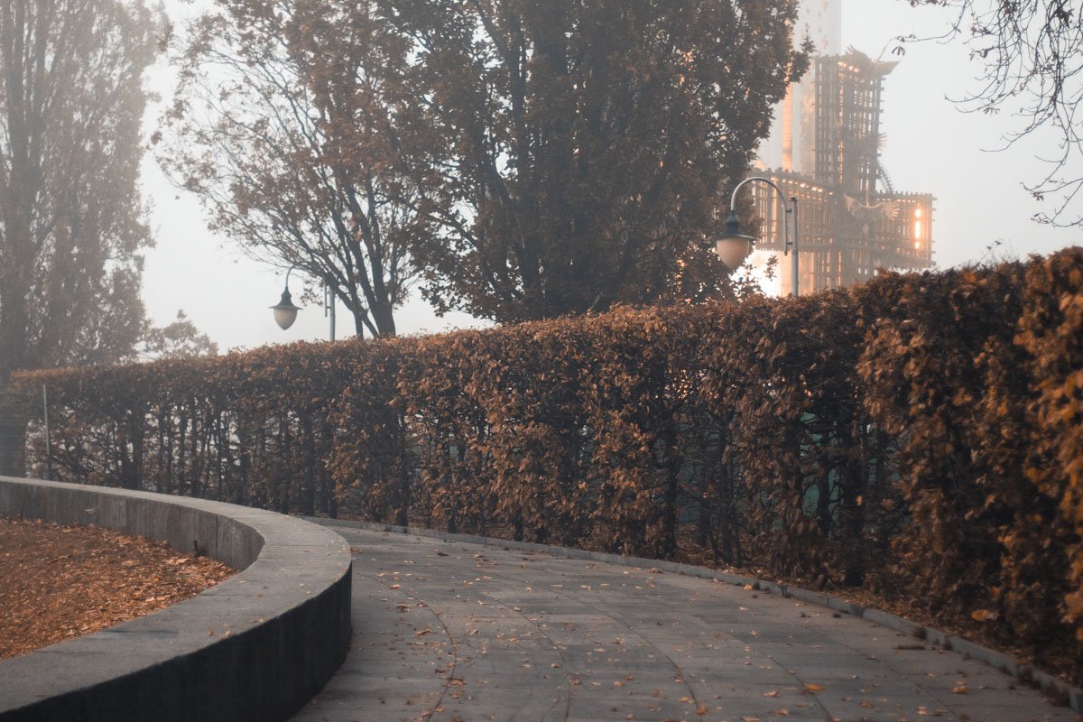 Иди на свет