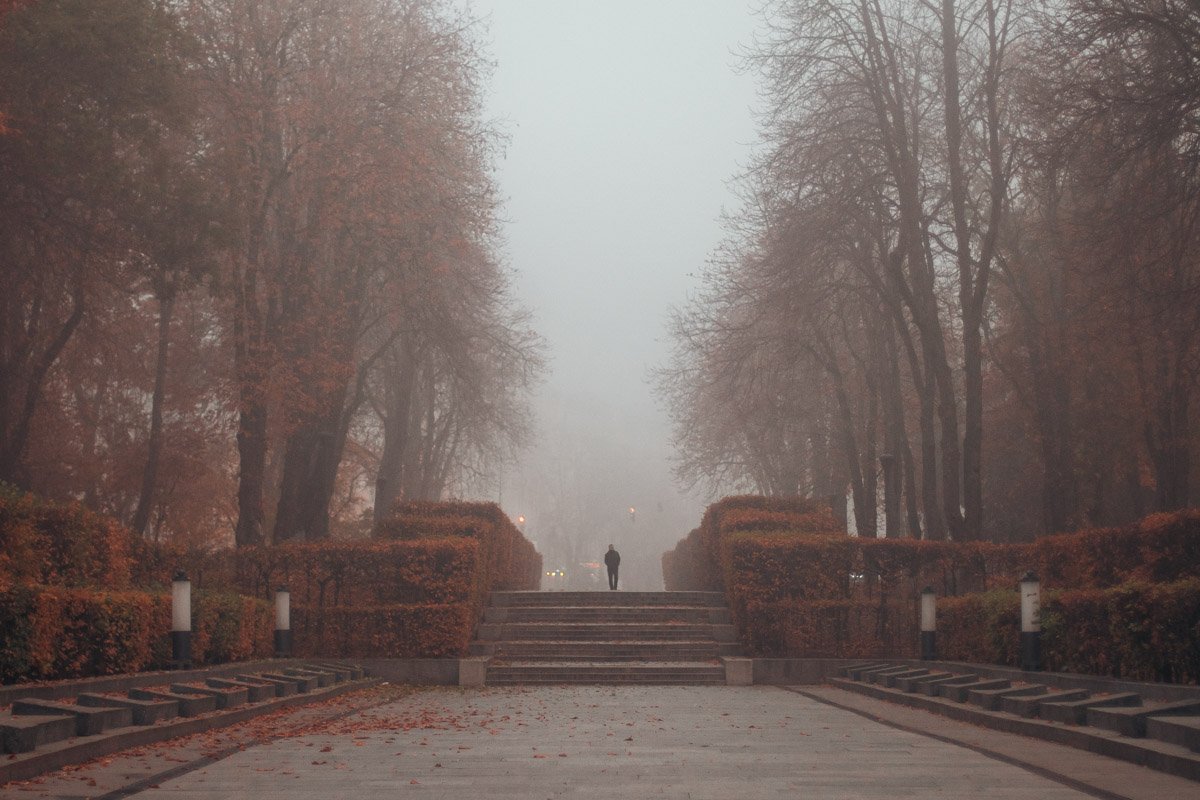 Город просыпается 