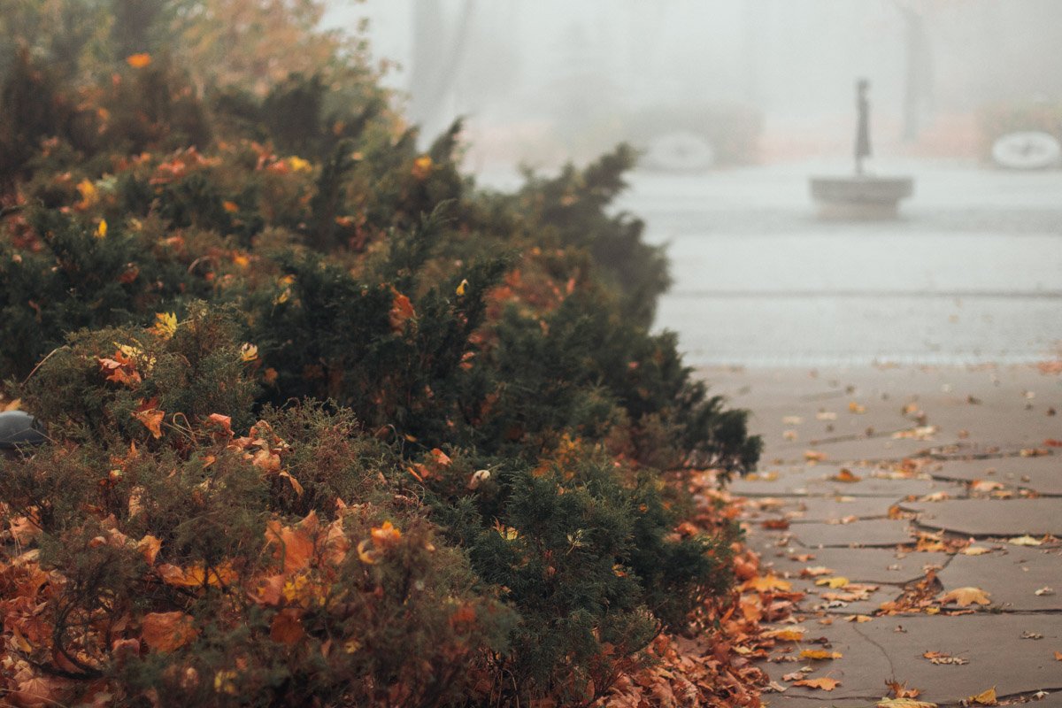 Прекрасное нужно видеть во всем 