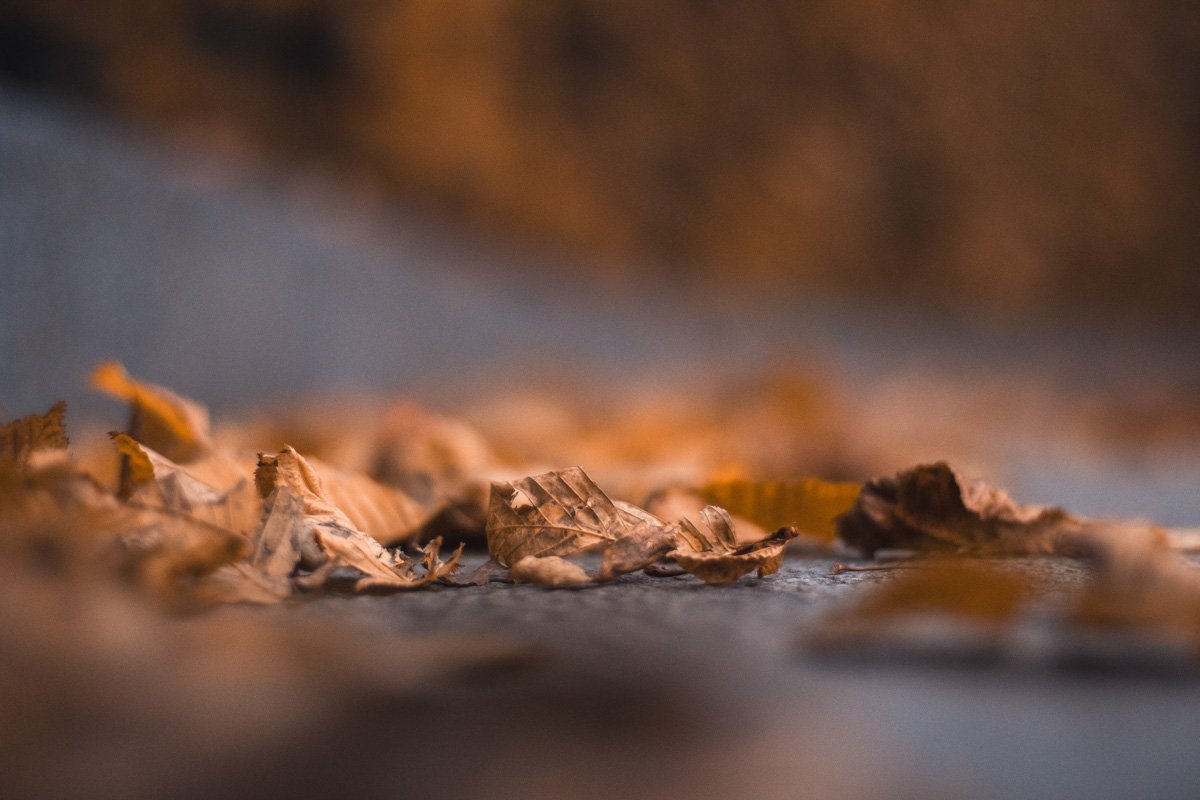 Естественный процесс жизни и смерти 