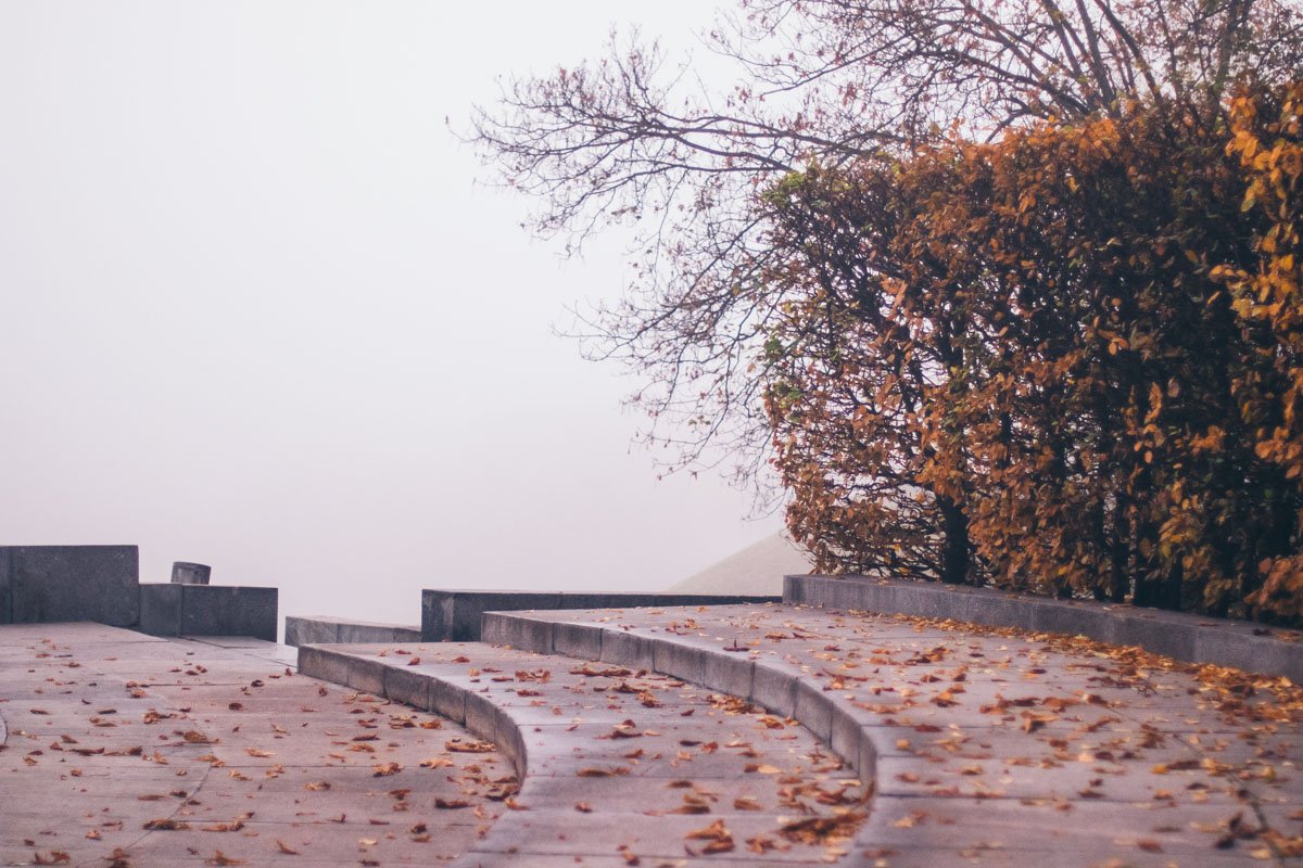 Белая стена, за которой тоже есть жизнь