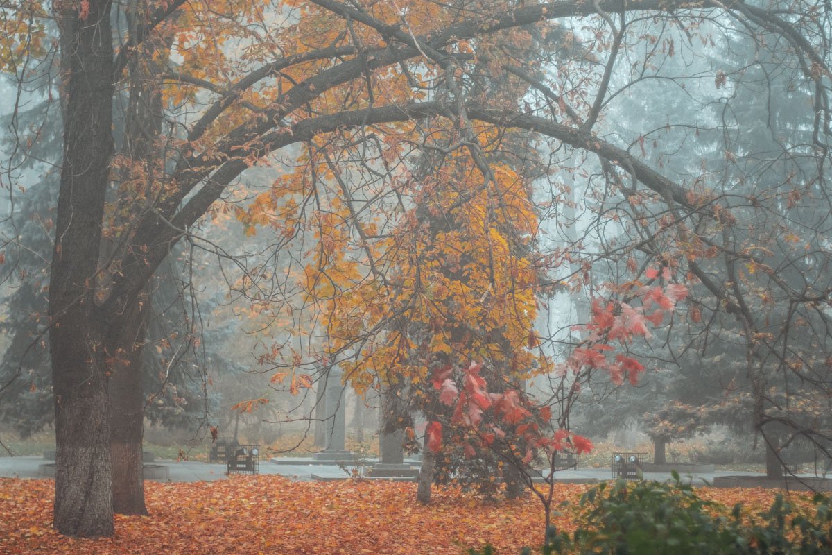 Успейте оценить красоту осени в Киеве