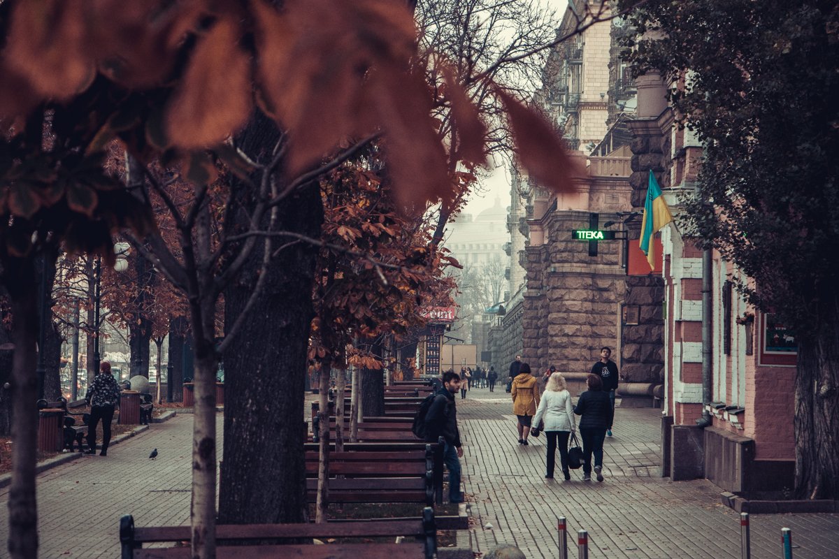 В преддверии Halloween такое явление лишь придает таинственную атмосферу В преддверии Halloween такое явление лишь придает таинственную атмосферу