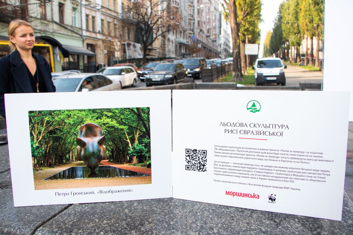 Именно так организаторы эко-проекта "Вместе за природу" обращают внимание общества на проблему исчезновения