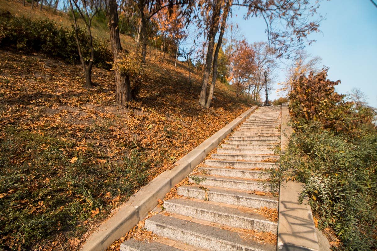Успейте сделать крутые осенние фотки!