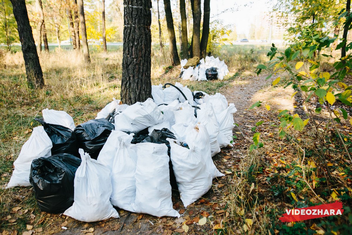 В общей сложности за три часа участники флешмоба собрали более сотни мешков с мусором В общей сложности за три часа участники флешмоба собрали более сотни мешков с мусором