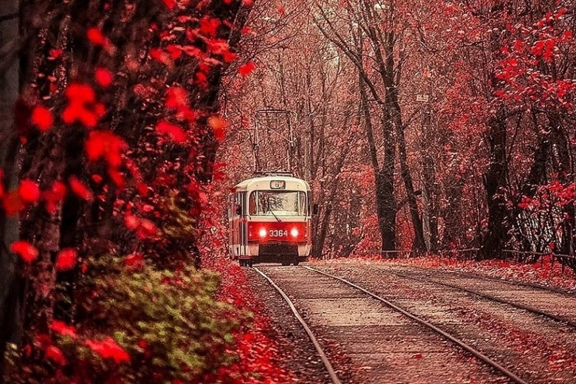 Приобщитесь к чтению и веселею в трамвайчике Приобщитесь к чтению и веселею в трамвайчике