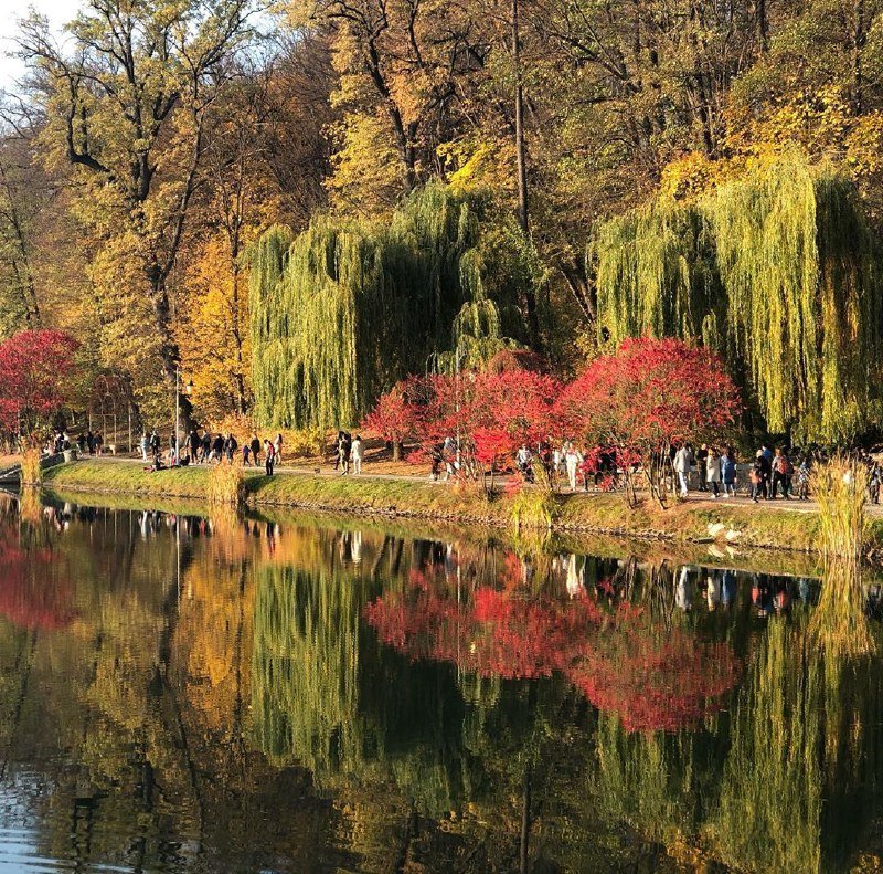 Почти что картина маслом от @katrin_30_05