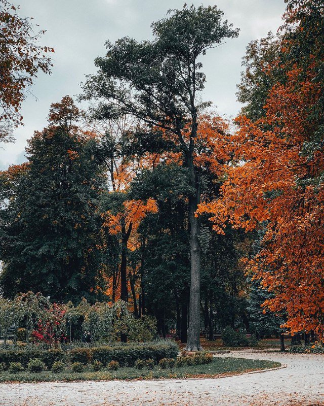 Кто-то знал, что сейчас такая красота в Мариинском парке? Спасибо @sergey.bogun за подсказку