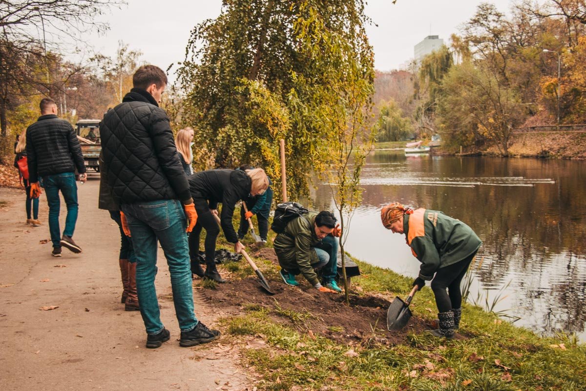 Парк "Нивки" в Киеве стал богаче на 23 дерева Парк "Нивки" в Киеве стал богаче на 23 дерева