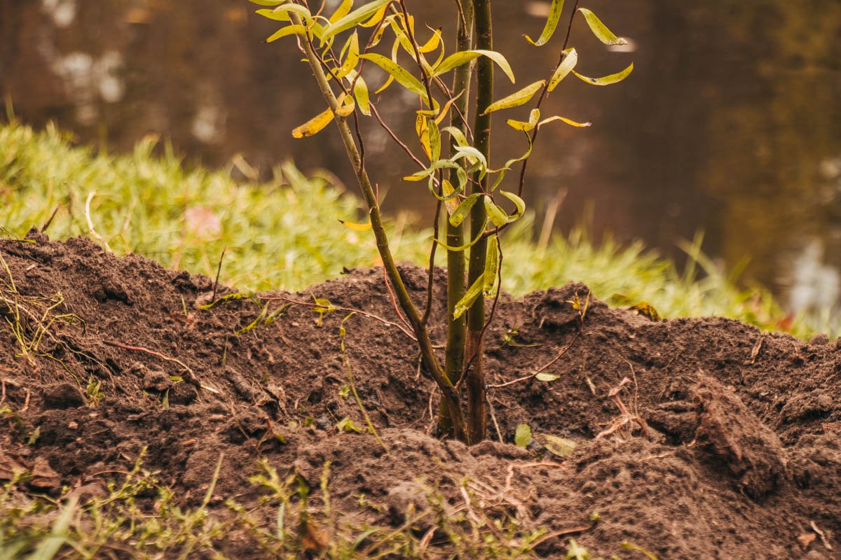 Будущим планеты озадачены многие, но лишь единицы пытаются это изменить Будущим планеты озадачены многие, но лишь единицы пытаются это изменить