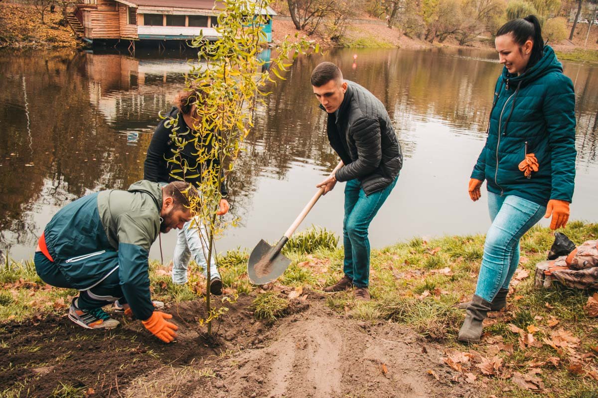 Парк "Нивки" сотрудники "Евразии" облагораживают не впервые Парк "Нивки" сотрудники "Евразии" облагораживают не впервые