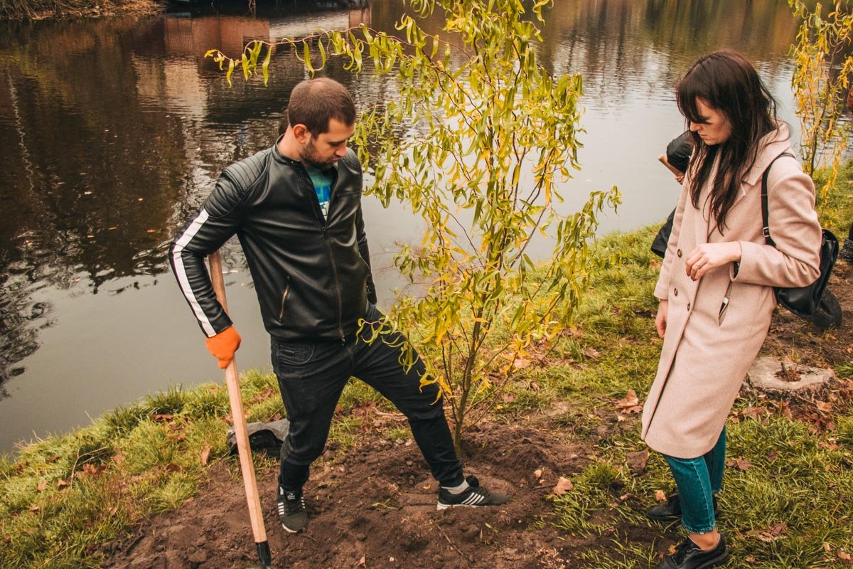 Вскоре молодые саженцы превратятся в прекрасные ивы, которые подарят парку тенистую зону возле озера Вскоре молодые саженцы превратятся в прекрасные ивы, которые подарят парку тенистую зону возле озера