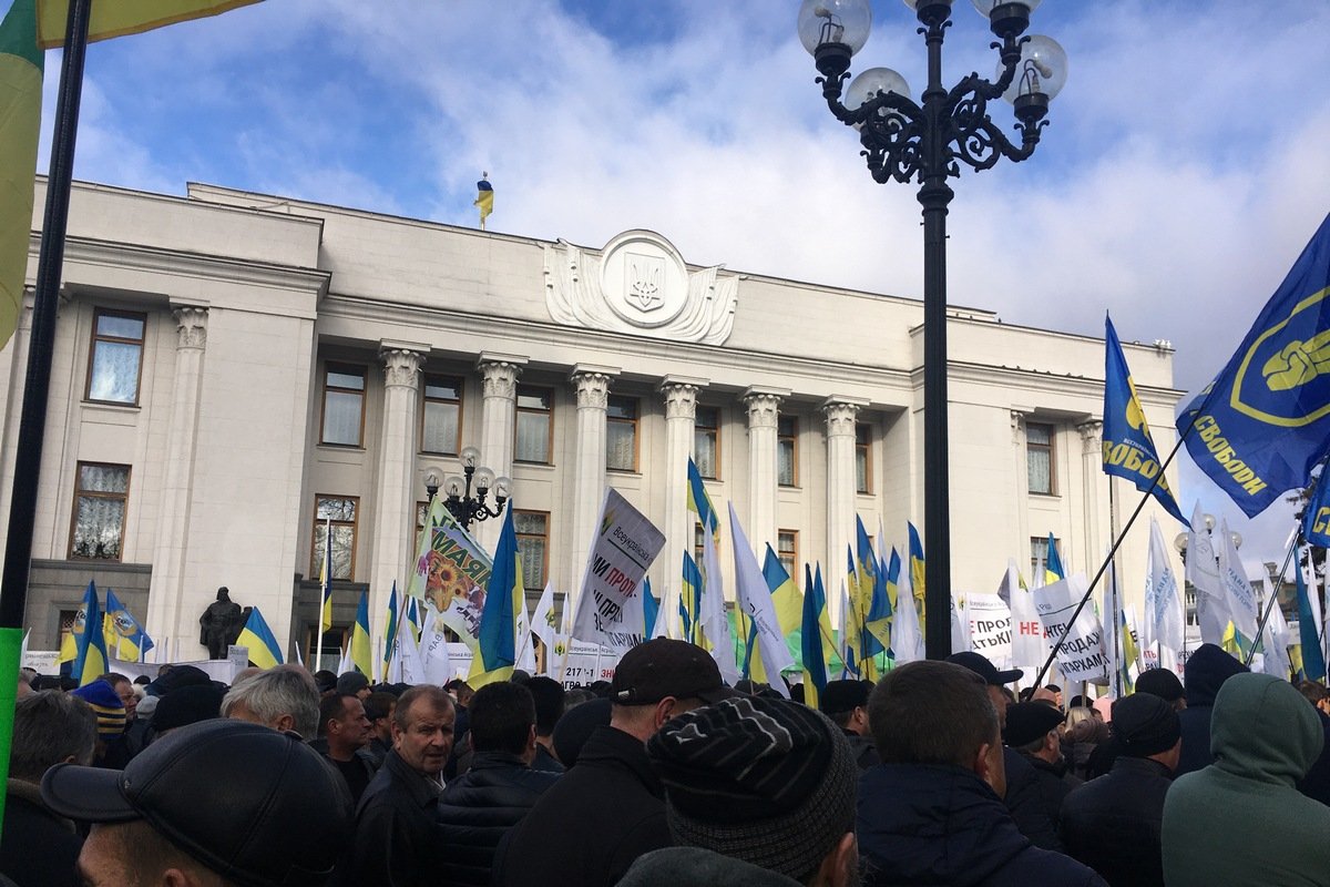 Координаторами акции выступили самые разные общественные организации Координаторами акции выступили самые разные общественные организации