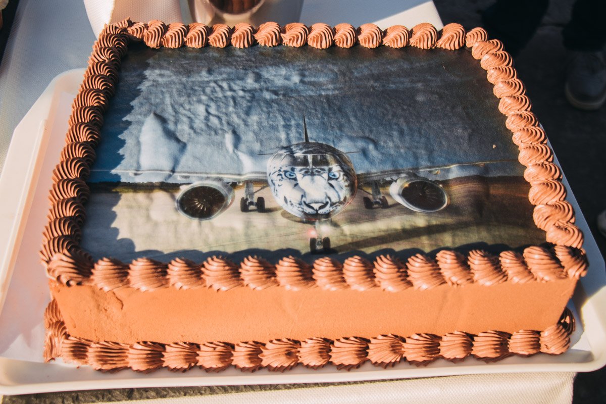 К сожалению, увидеть как должен был выглядеть раскрашенный самолет можно было только на торте К сожалению, увидеть как должен был выглядеть раскрашенный самолет можно было только на торте