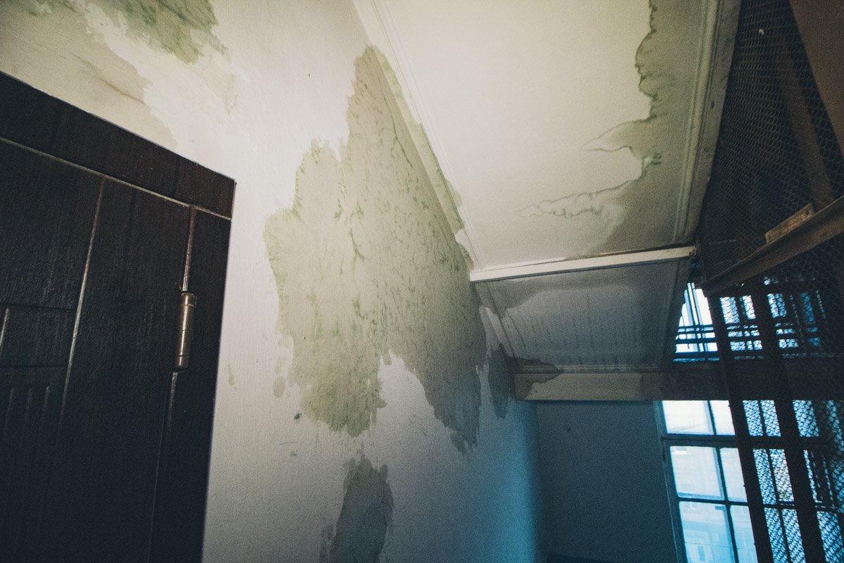 В парадном стоит отчетливо стоит запах сырости