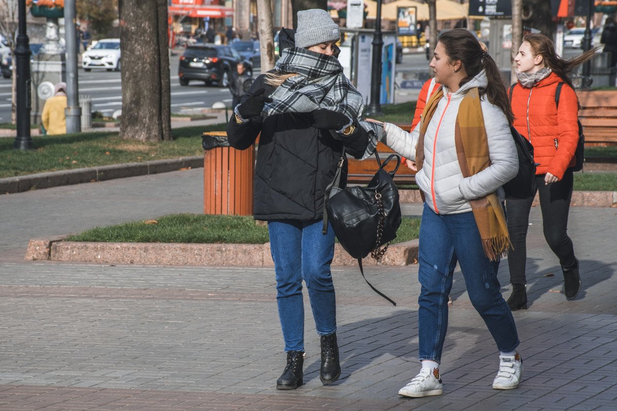 Осенние проблемы - в шарфе очень легко запутаться Осенние проблемы - в шарфе очень легко запутаться