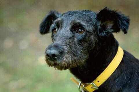 Это Мери и она ждет своего человека