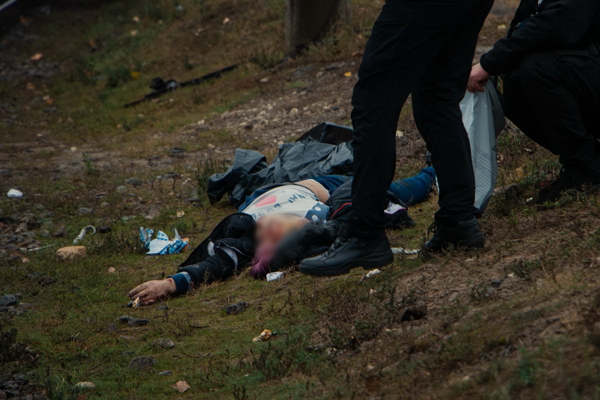 Машинист несколько раз сигналил и пытался затормозить