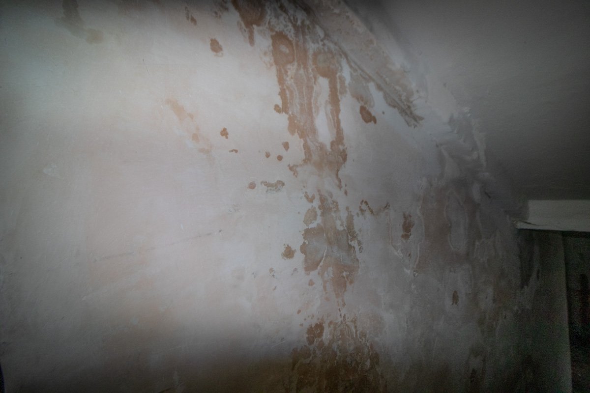 Проблемы со стенами в подъезде образовались из-за плохого состояния канализационных сетей