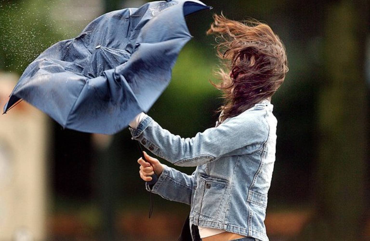 Синоптики обещают сильные порывы ветра Синоптики обещают сильные порывы ветра