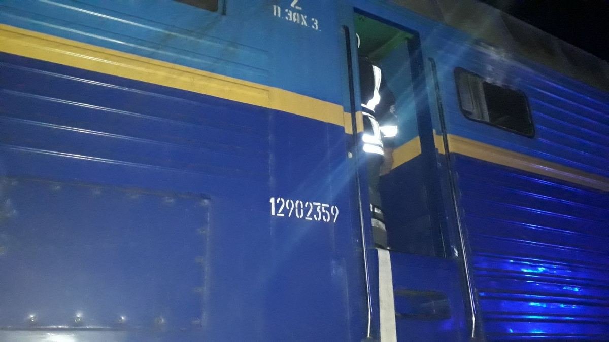 Между железнодорожными станциями Ирпень и Беличи произошел пожар Между железнодорожными станциями Ирпень и Беличи произошел пожар