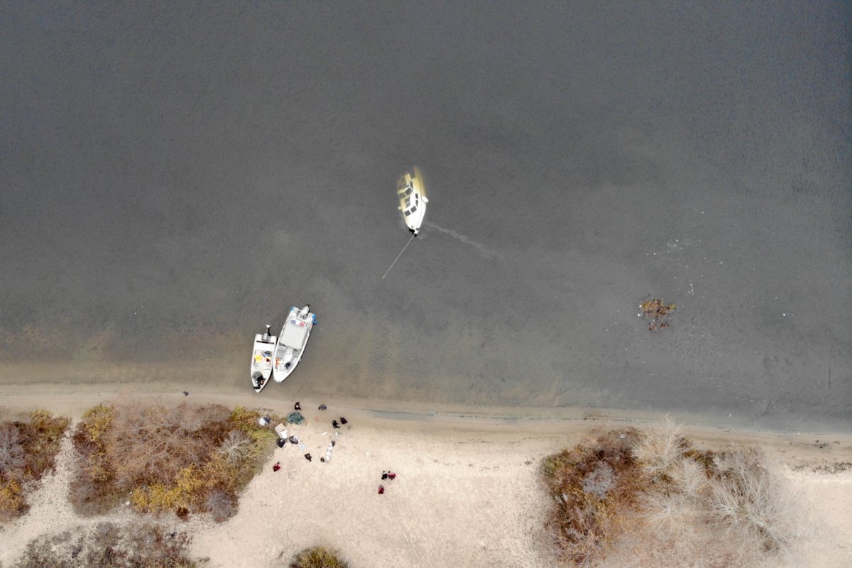 Хозяина вызвали на место происшествия для выяснения подробностей случившегося